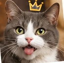 Pax, a gray and white cat wearing a tiny crown